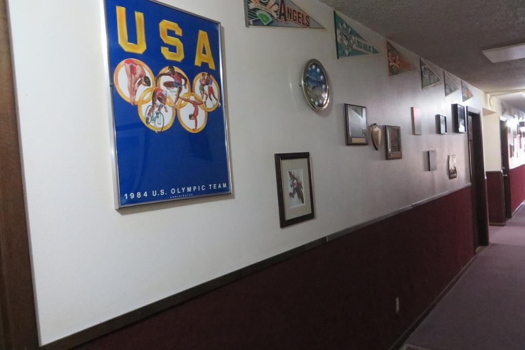 Sports Club Motel Wayne Dış mekan fotoğraf